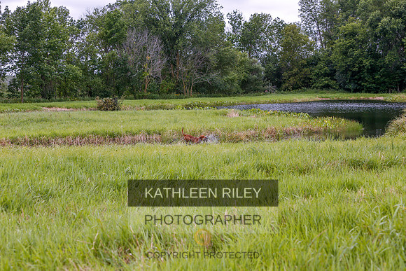 2022-KathleenRileyPhotography-3411
