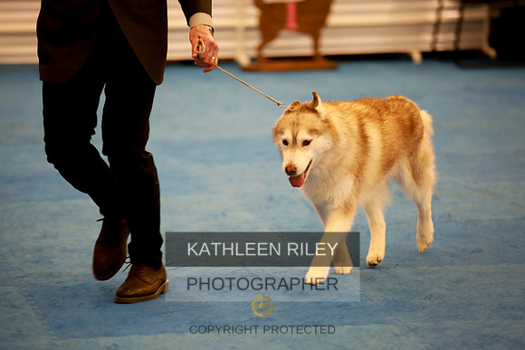 2022-KathleenRileyPhotography-5358