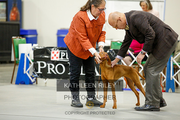2022-KathleenRileyPhotography-9399