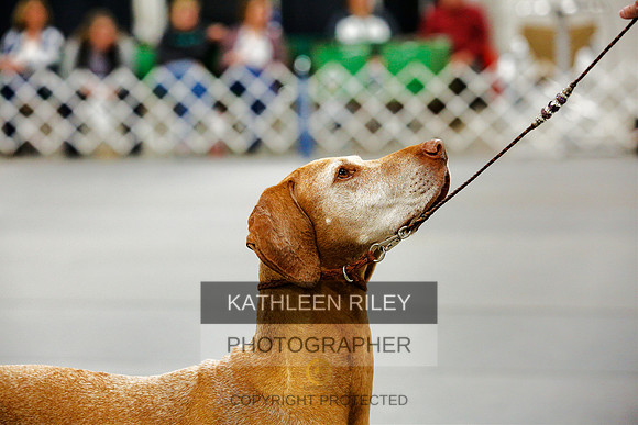 2022-KathleenRileyPhotography-0128 (1)