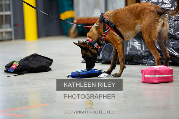 2022-KathleenRileyPhotography-7085