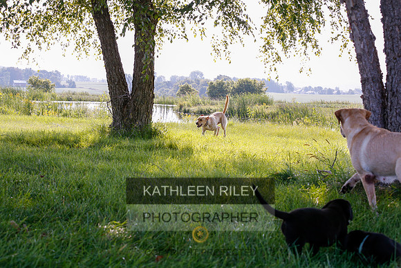 2022-KathleenRileyPhotography-7868