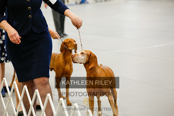 2022-KathleenRileyPhotography-1343