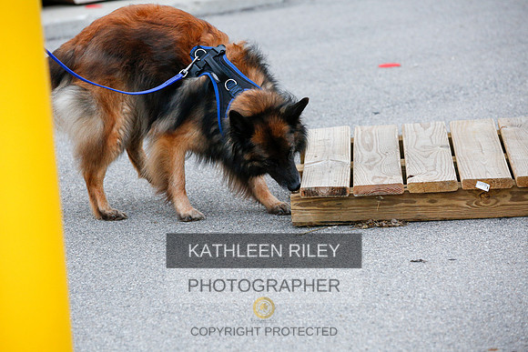 2022-KathleenRileyPhotography-7524