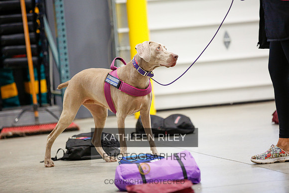 2022-KathleenRileyPhotography-7109