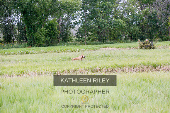 2022-KathleenRileyPhotography-3204