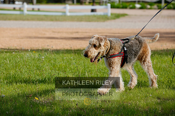 2022-KathleenRileyPhotography-3846