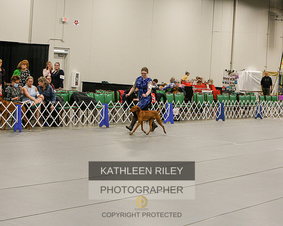2022-KathleenRileyPhotography-7169