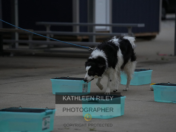 2022-KathleenRileyPhotography028
