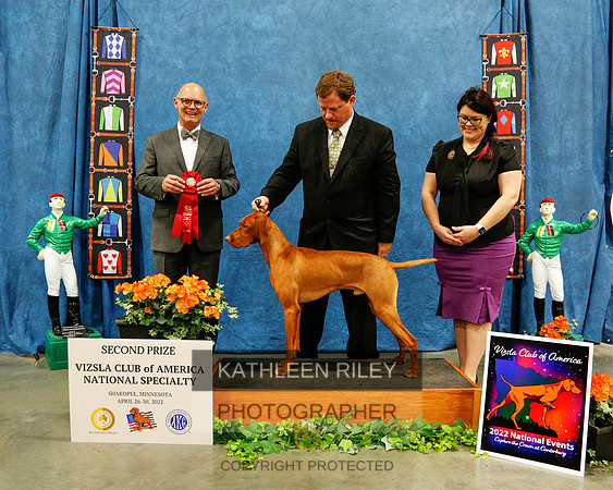 2022-KathleenRileyPhotography-6674 (1)