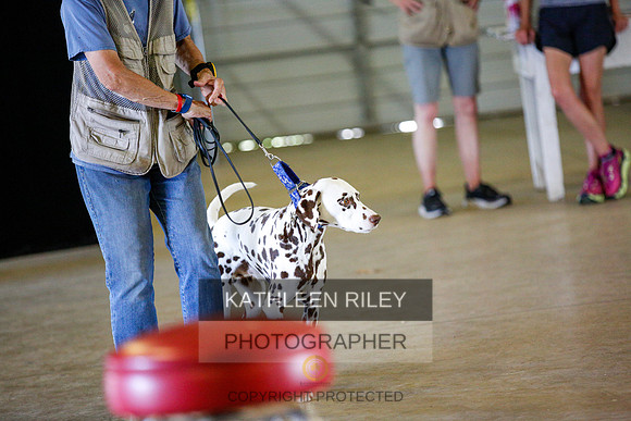 2022-KathleenRileyPhotography-9787