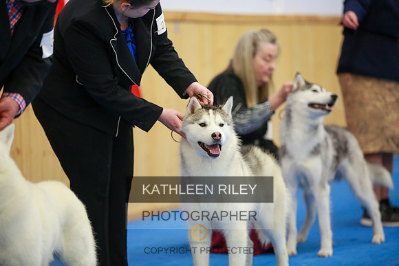 2022-KathleenRileyPhotography-6135