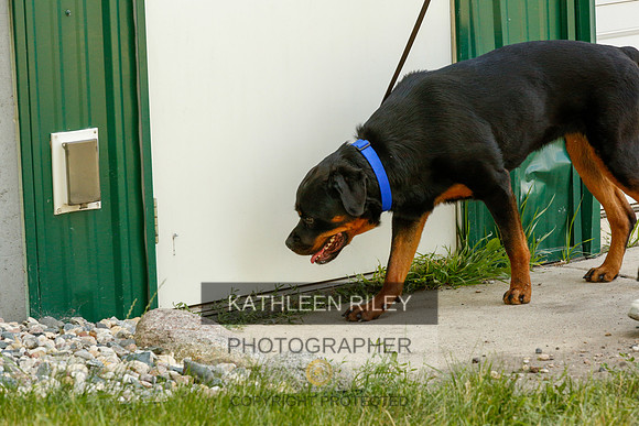 2022-KathleenRileyPhotography-0316