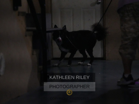2022-KathleenRileyPhotography099
