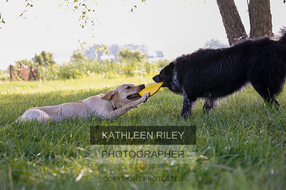 2022-KathleenRileyPhotography-7940