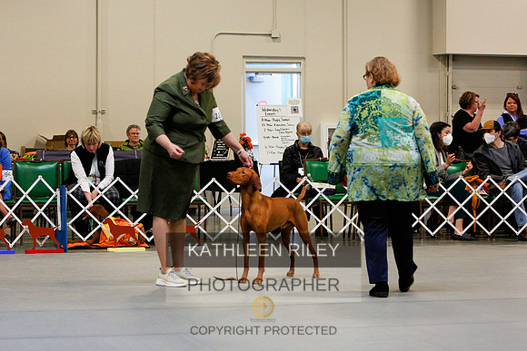 2022-KathleenRileyPhotography-2379