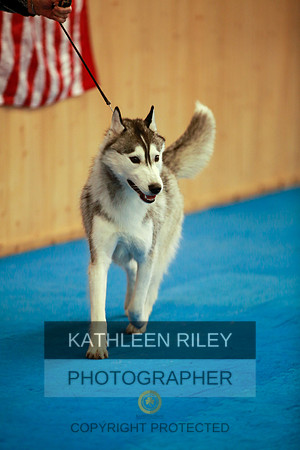 2022-KathleenRileyPhotography-6072