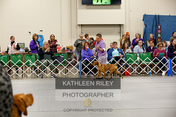 2022-KathleenRileyPhotography-9903