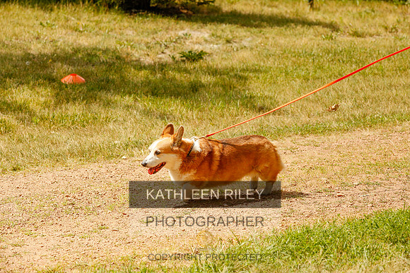 2022-KathleenRileyPhotography-0348
