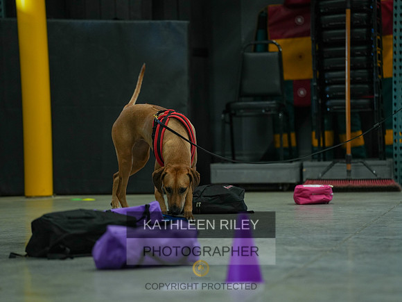 2022-KathleenRileyPhotography-03776