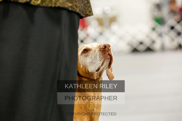 2022-KathleenRileyPhotography-0121