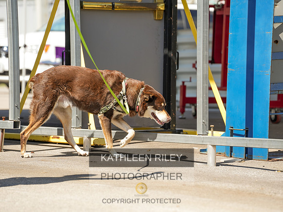 2022-KathleenRileyPhotography-04232