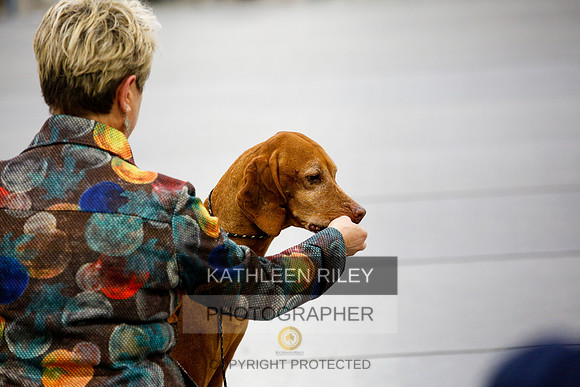 2022-KathleenRileyPhotography-2447