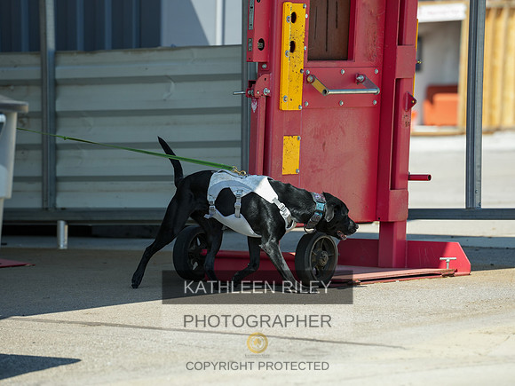 2022-KathleenRileyPhotography-04114