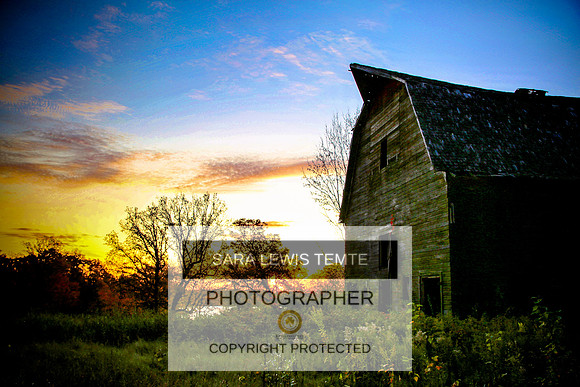 2019-Sara-Temte-Photography--2