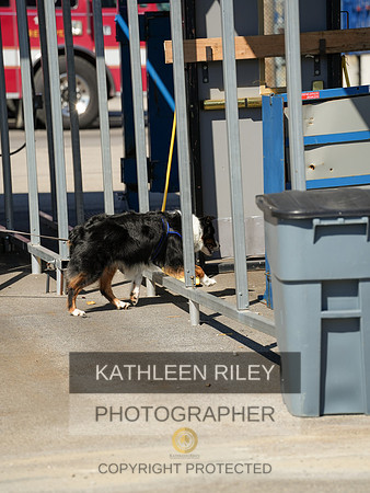 2022-KathleenRileyPhotography-03960