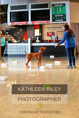 2022-KathleenRileyPhotography-7657