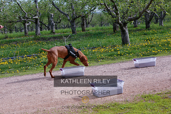 2022-KathleenRileyPhotography-8401