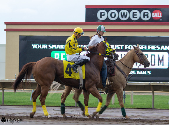 Ry Eikleberry on Track A Tac AQHA at Canterbury Park