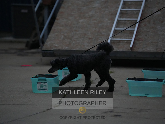 2022-KathleenRileyPhotography242