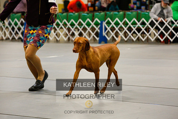 2022-KathleenRileyPhotography-9795