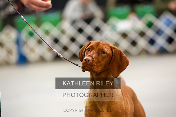 2022-KathleenRileyPhotography-8782
