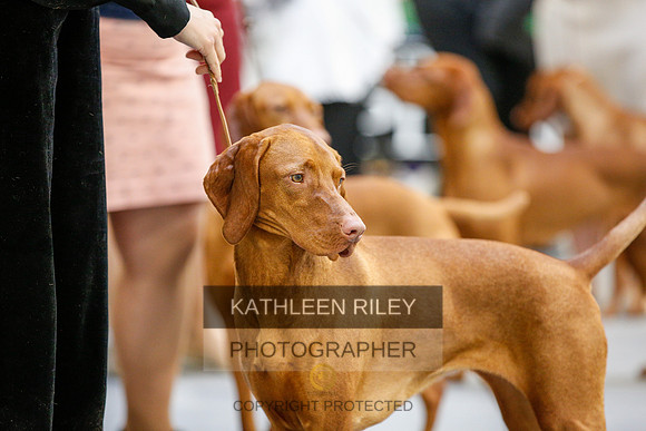 2022-KathleenRileyPhotography-2094
