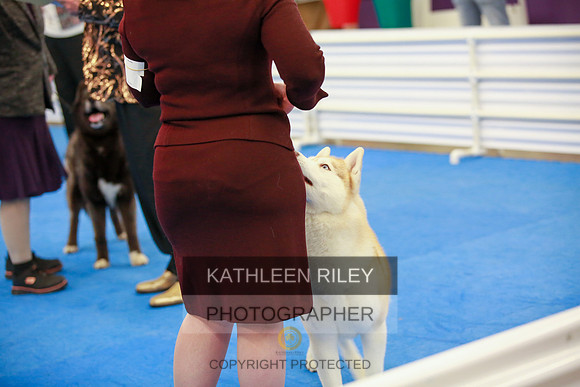 2022-KathleenRileyPhotography-5715