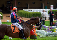 Doug Frink AQHA jockey at Canterbury Park in Minnesota