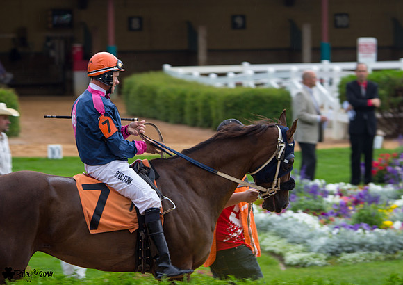Doug Frink AQHA jockey at Canterbury Park in Minnesota