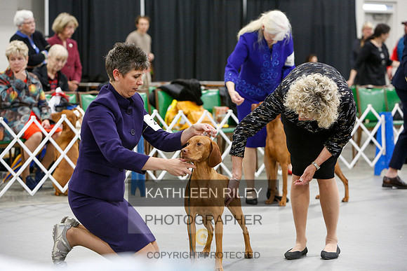 2022-KathleenRileyPhotography-7333