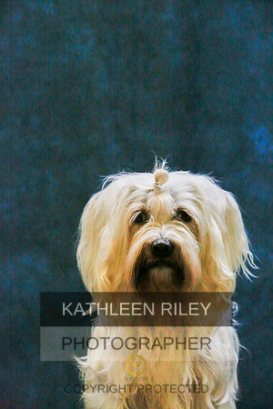 2022-KathleenRileyPhotography-9418