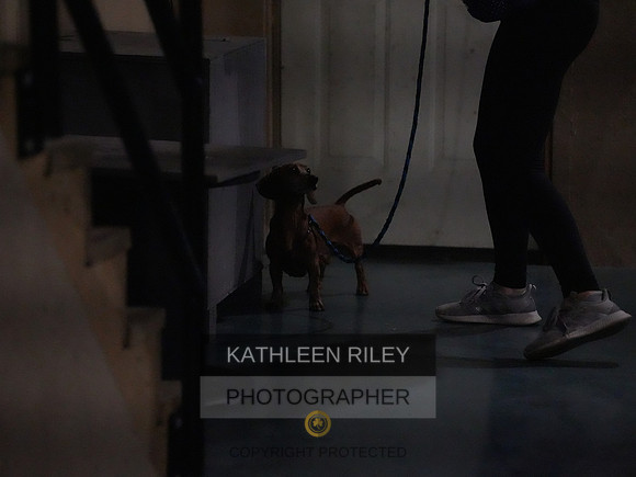 2022-KathleenRileyPhotography156