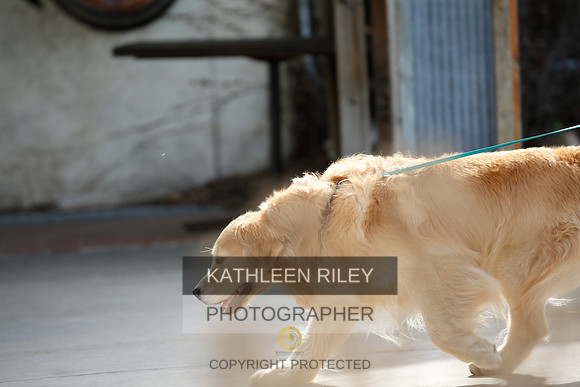 2022-KathleenRileyPhotography-2702