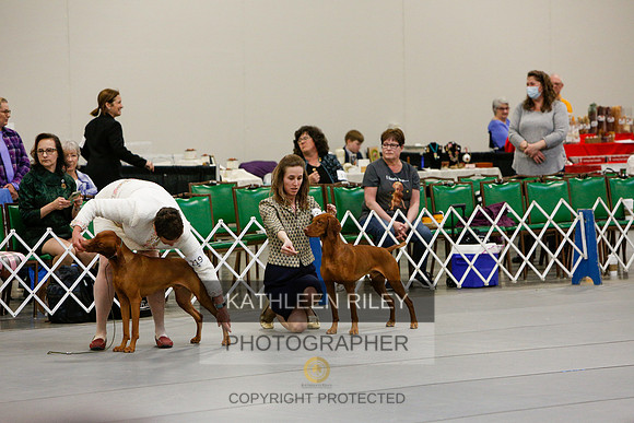 2022-KathleenRileyPhotography-6046