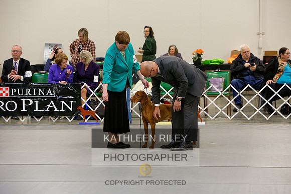 2022-KathleenRileyPhotography-5813