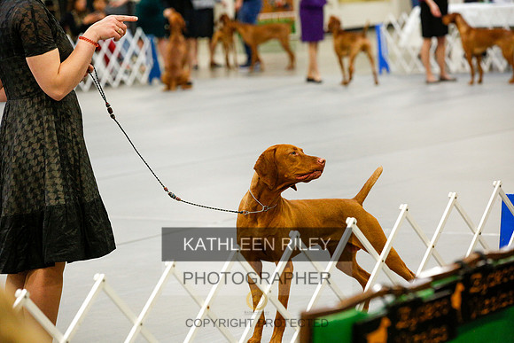 2022-KathleenRileyPhotography-1048