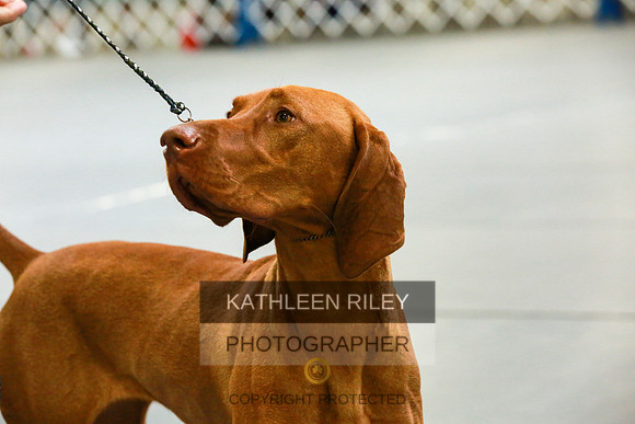 2022-KathleenRileyPhotography-8863