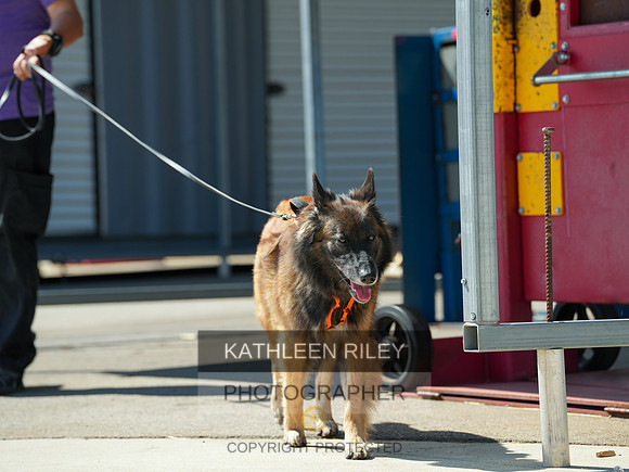 2022-KathleenRileyPhotography-04197