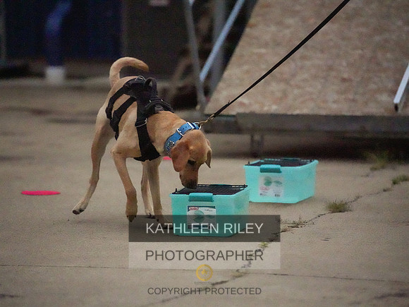 2022-KathleenRileyPhotography-349